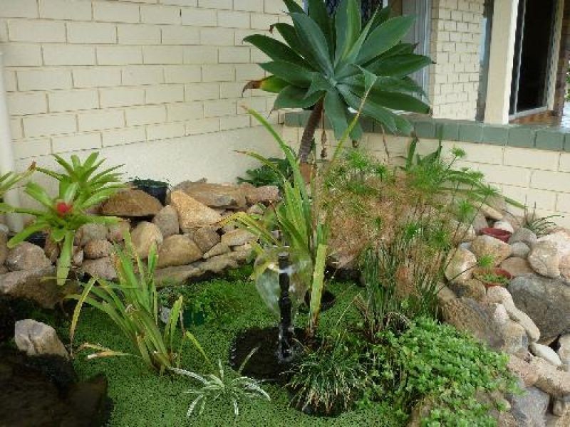 Forrest Beach QLD 4850