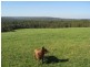 Chapple Vale VIC 3239