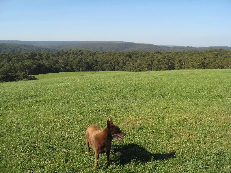 Chapple Vale VIC 3239