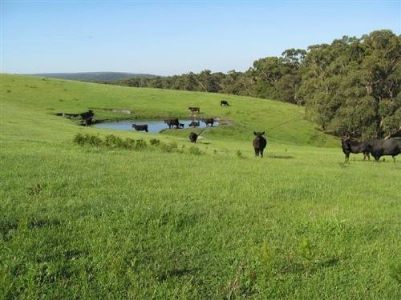 Chapple Vale VIC 3239