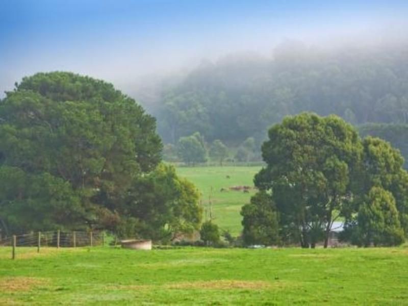 Chapple Vale VIC 3239
