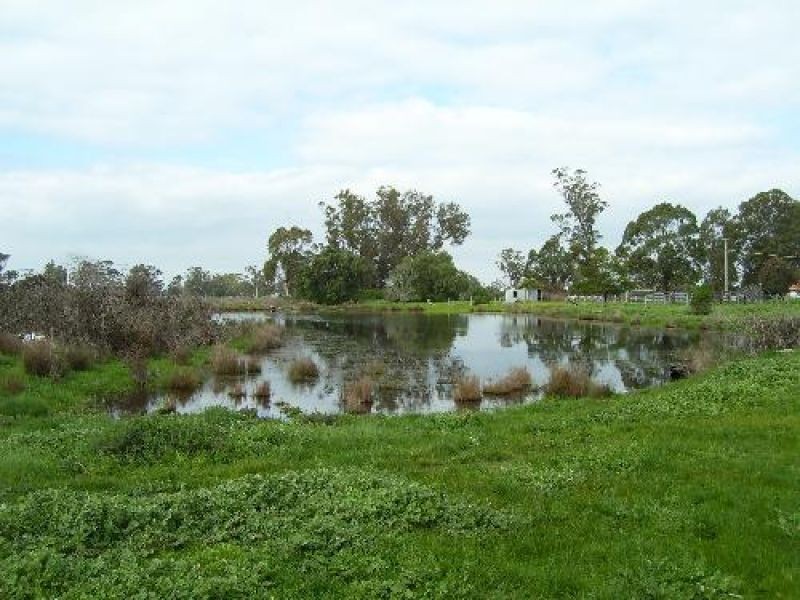 29 Hill Street, Toongabbie VIC 3856