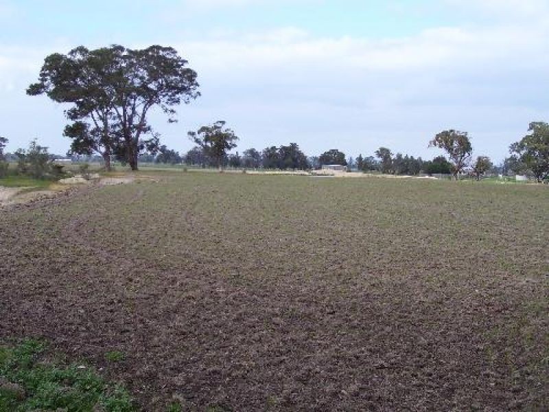 29 Hill Street, Toongabbie VIC 3856