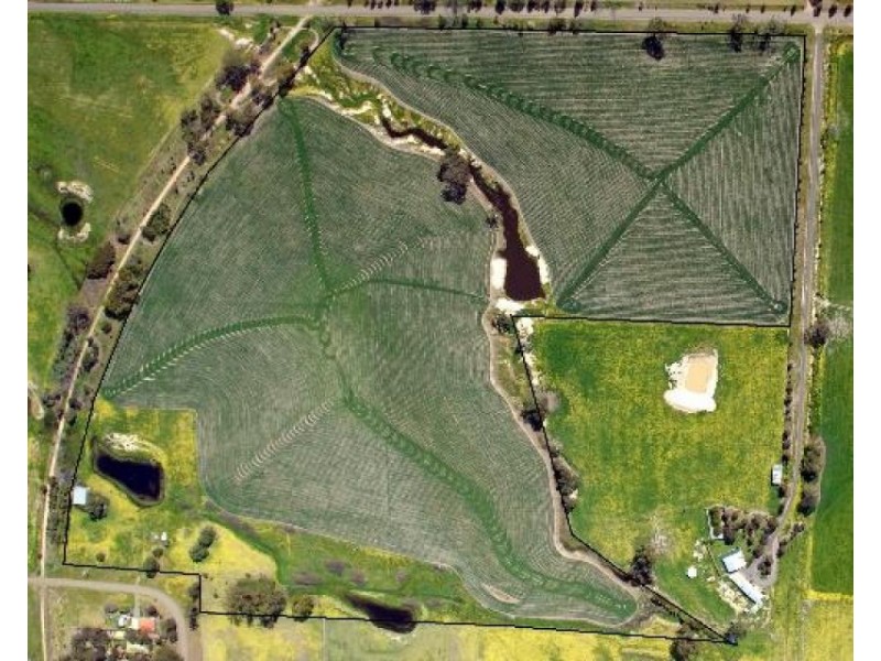 29 Hill Street, Toongabbie VIC 3856