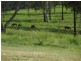 Anderleigh QLD 4570