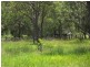 Anderleigh QLD 4570