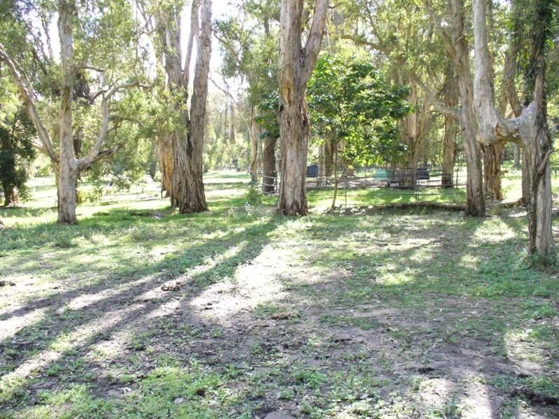68 Bluegum Drive, Wonglepong, Canungra QLD 4275
