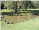 68 Bluegum Drive, Wonglepong, Canungra QLD 4275