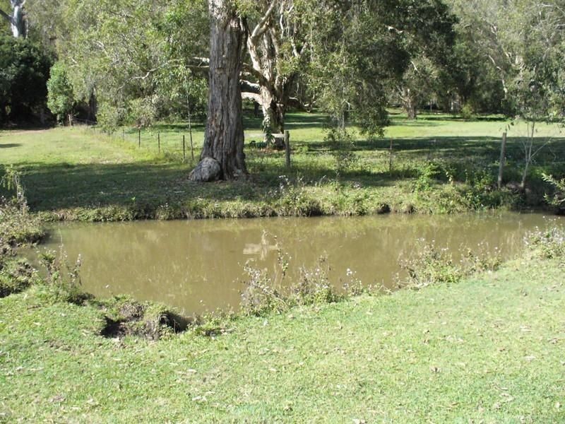 68 Bluegum Drive, Wonglepong, Canungra QLD 4275