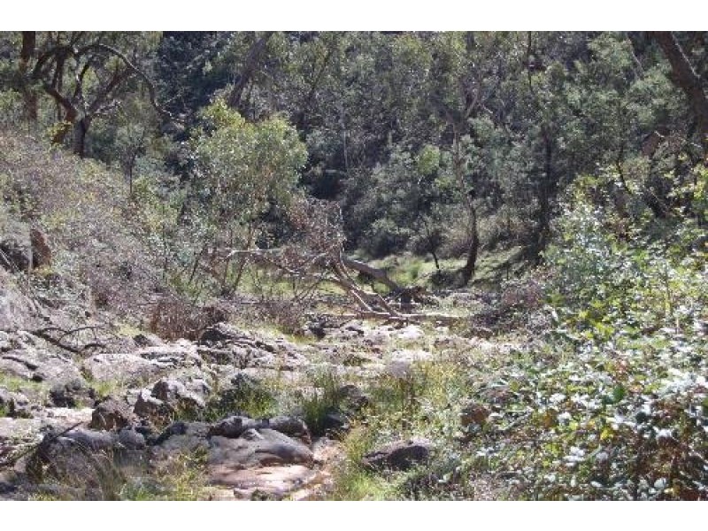 Wattle Flat NSW 2795