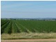 Canowindra NSW 2804
