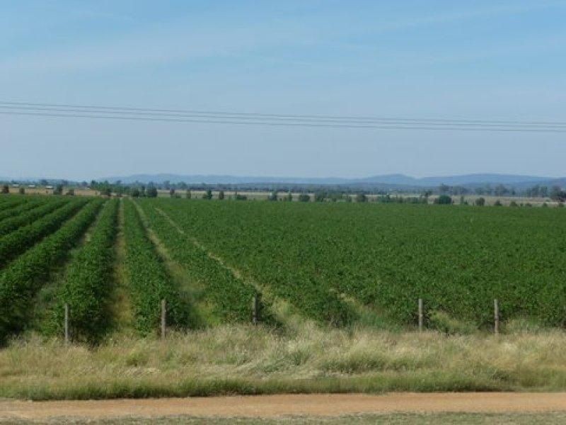 Canowindra NSW 2804