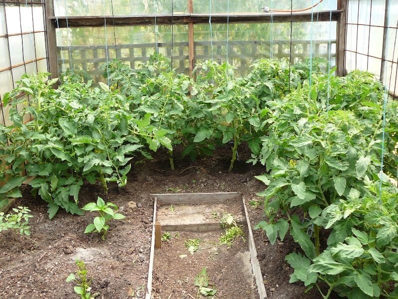 28 Carins Close, Tomahawk TAS 7262