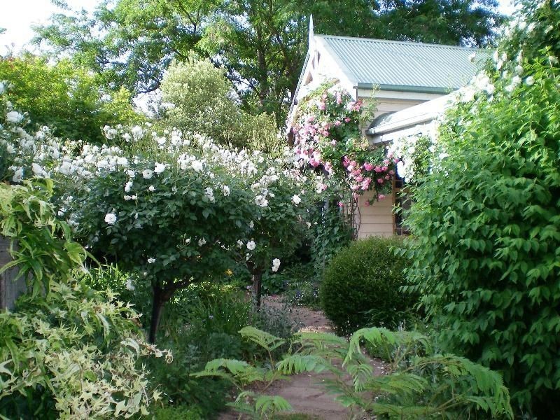 Swifts Creek VIC 3896