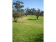 559 Moffat Street, Lavington NSW 2641