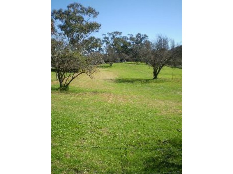 559 Moffat Street, Lavington NSW 2641