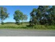 Palm Grove QLD 4800
