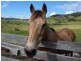 Kilcoy QLD 4515