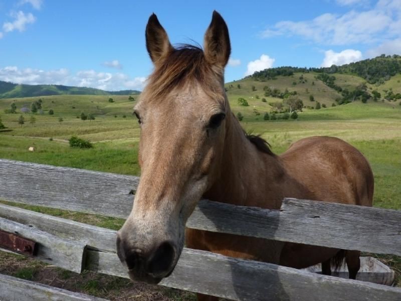 Kilcoy QLD 4515