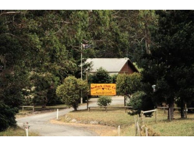 1420 Jacksons Track, Jindivick VIC 3818
