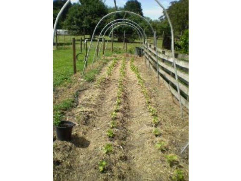 1420 Jacksons Track, Jindivick VIC 3818