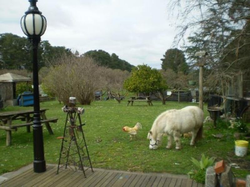 1420 Jacksons Track, Jindivick VIC 3818