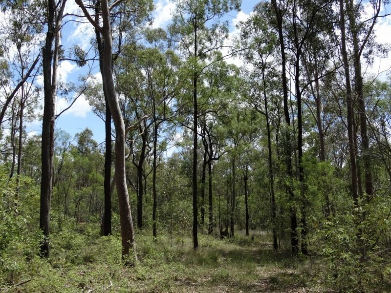 612 Acres on Nobbs Road, Chinchilla QLD 4413