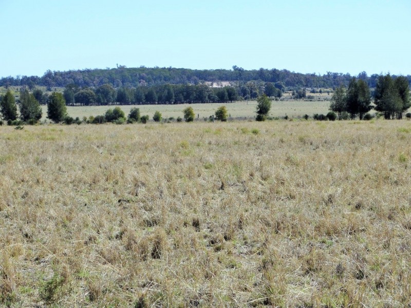 Woodvale 2083 B Tennysons Road, Chinchilla QLD 4413