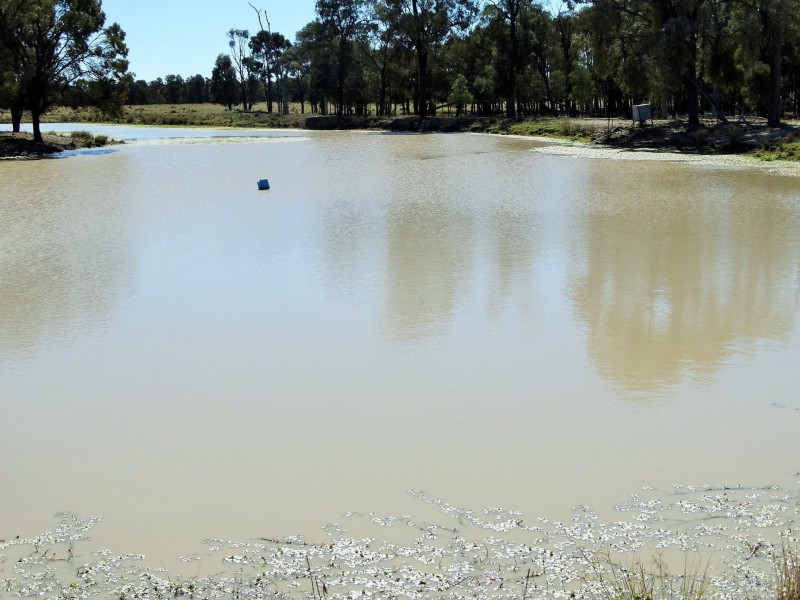 Woodvale 2083 B Tennysons Road, Chinchilla QLD 4413