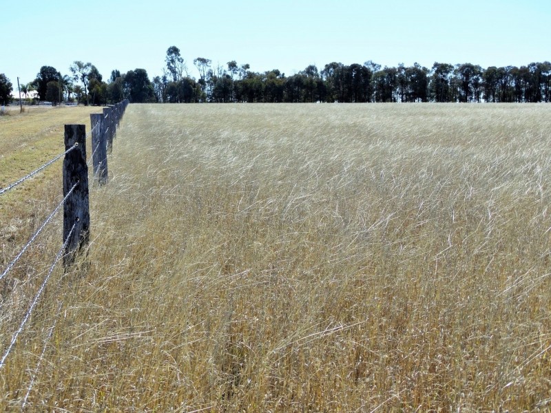 Woodvale 2083 B Tennysons Road, Chinchilla QLD 4413