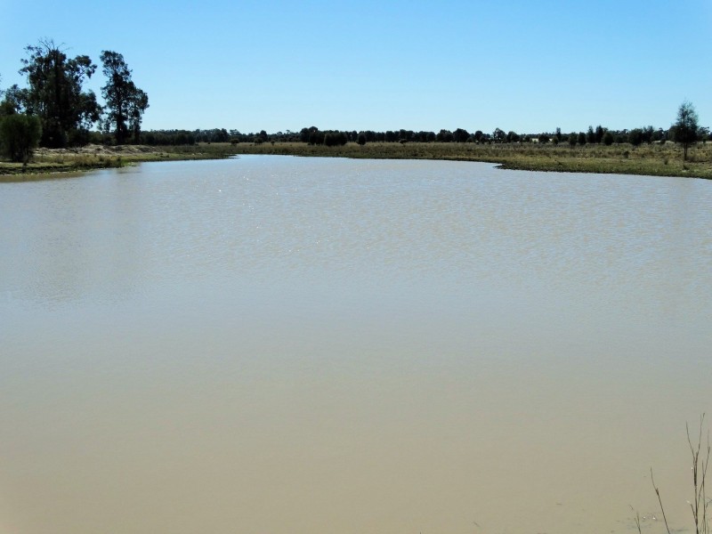 Woodvale 2083 B Tennysons Road, Chinchilla QLD 4413