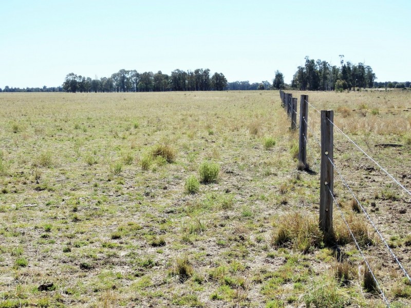 Woodvale 2083 B Tennysons Road, Chinchilla QLD 4413