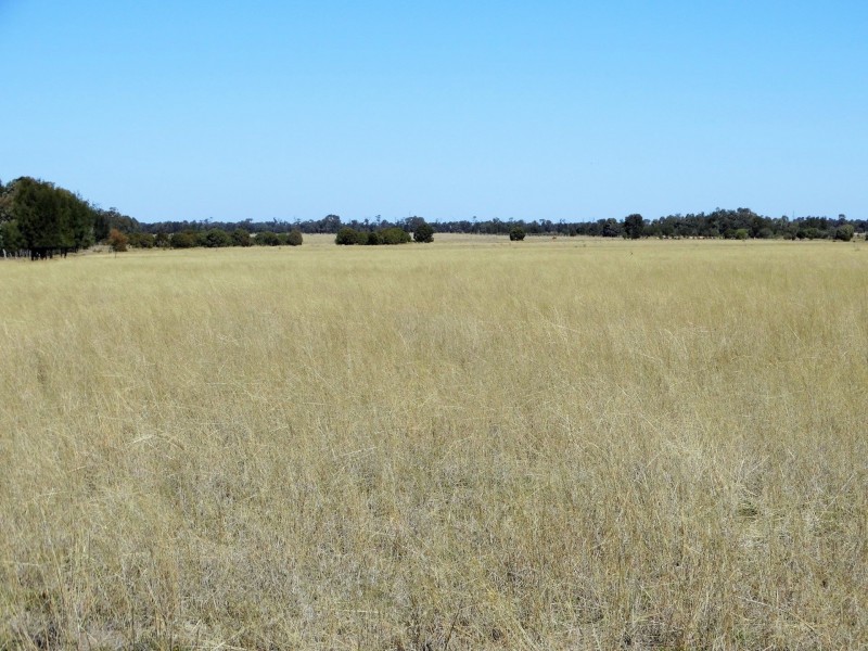 Woodvale 2083 B Tennysons Road, Chinchilla QLD 4413