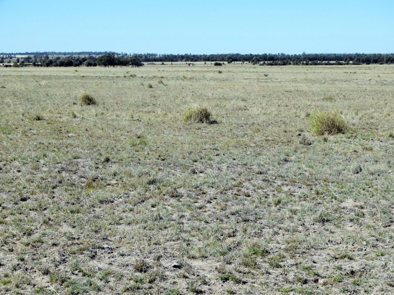 Woodvale 2083 B Tennysons Road, Chinchilla QLD 4413