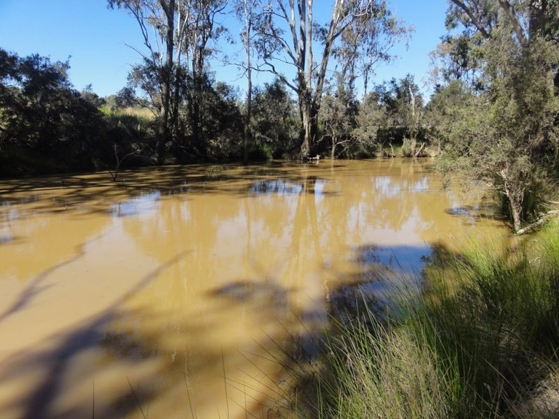 38593 Leichhardt Highway, Miles QLD 4415