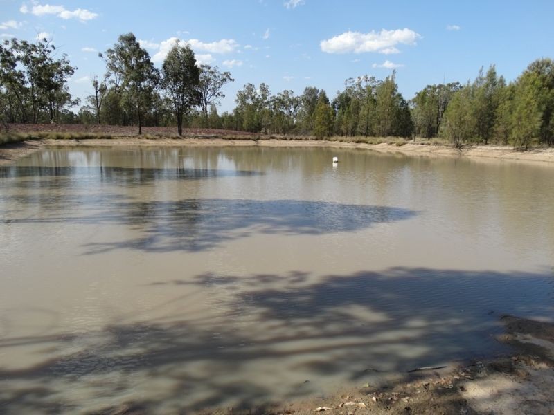 175 Old Cameby Road, Miles QLD 4415