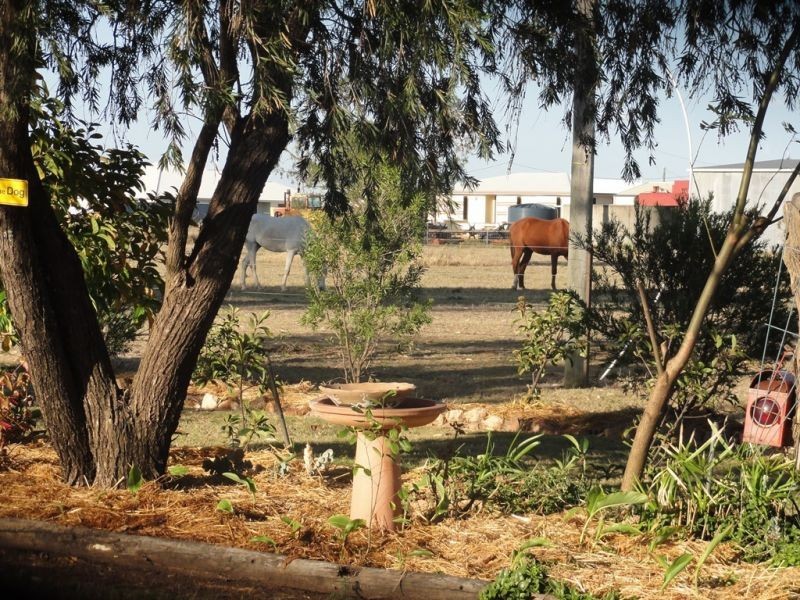 64 Gates Road, Chinchilla QLD 4413