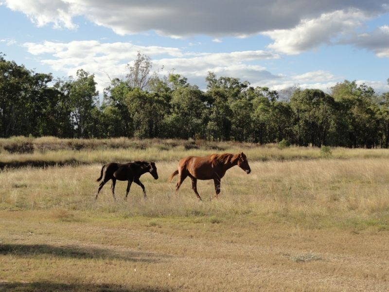 363 Auburn Road, Chinchilla QLD 4413