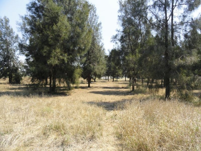 Lot 10 Cleverdon Court, Chinchilla QLD 4413