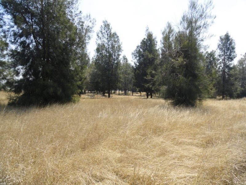 Lot 10 Cleverdon Court, Chinchilla QLD 4413