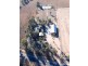 86 Auburn Road, Chinchilla QLD 4413