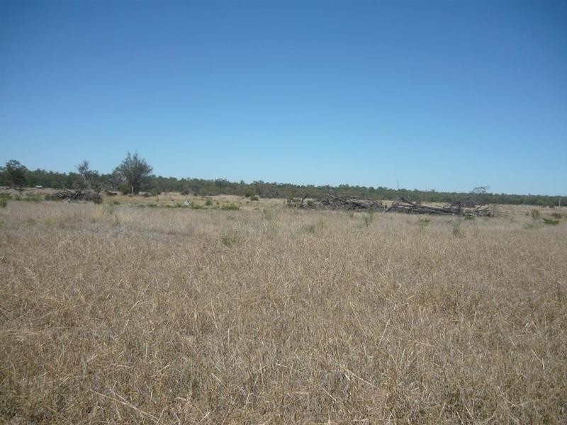 38672 Leichhardt Highway, Miles QLD 4415