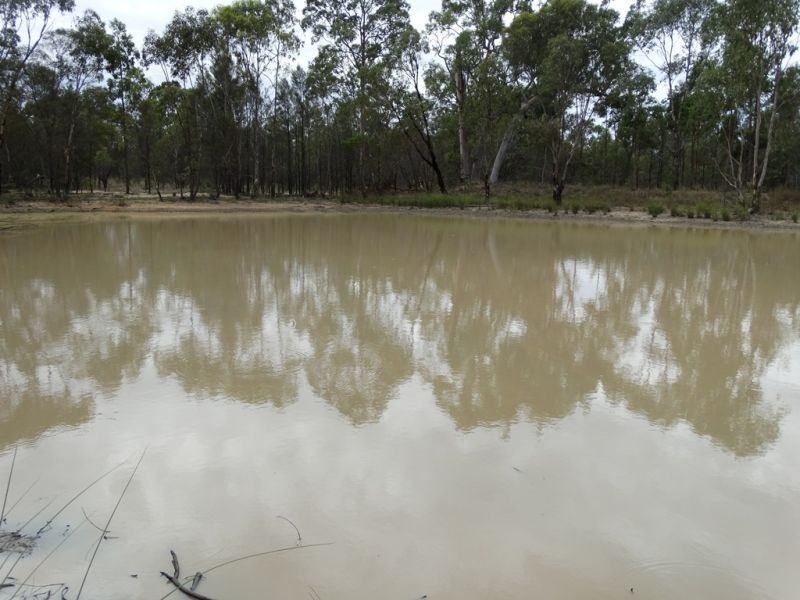 1503 Kumbarilla Lane, Dalby QLD 4405