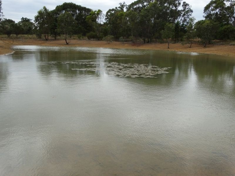 1503 Kumbarilla Lane, Dalby QLD 4405