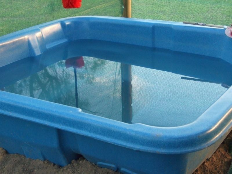 1503 Kumbarilla Lane, Dalby QLD 4405