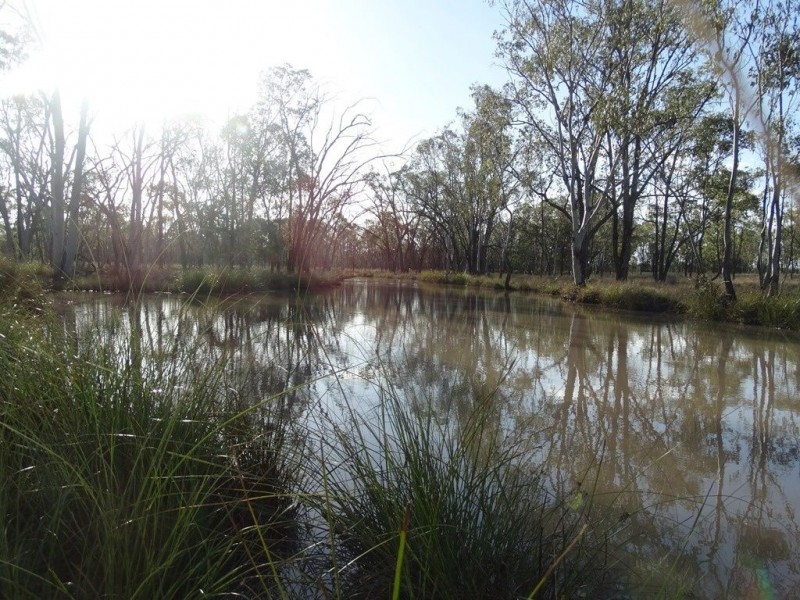 Lot 125 Warrens Road, Chinchilla QLD 4413