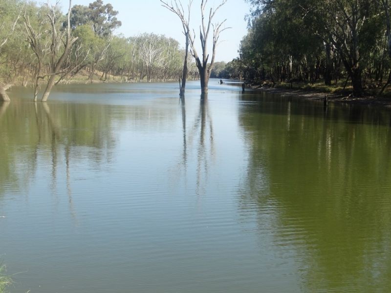Condamine Park Warrego Highway, Chinchilla QLD 4413