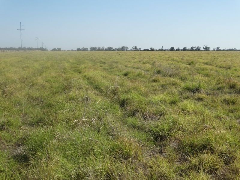 Condamine Park Warrego Highway, Chinchilla QLD 4413