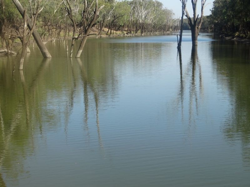 Condamine Park Warrego Highway, Chinchilla QLD 4413