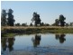 Condamine Park Warrego Highway, Chinchilla QLD 4413